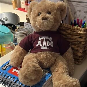 Adorable Tan Teddy Bear with Maroon Shirt